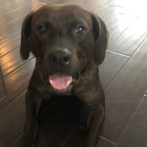 Meet your Posher, Kelley